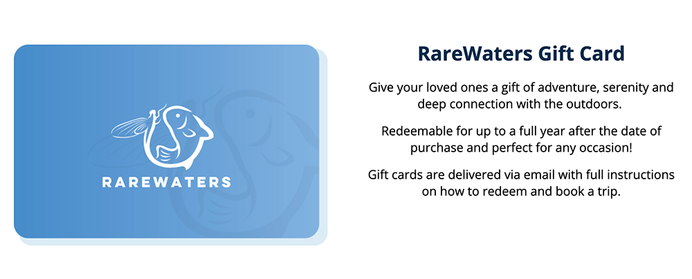 Gift Card for Emails